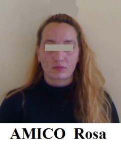 AMICO Rosa