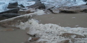 schiuma inquinamento monaco mirante mare1