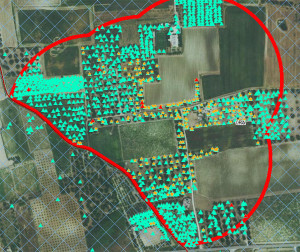 xylella mappa