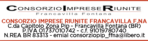 CONSORZIO IMPRESE RIUNITE 500X140