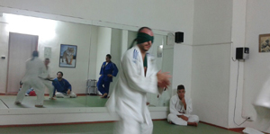 the tiger judo
