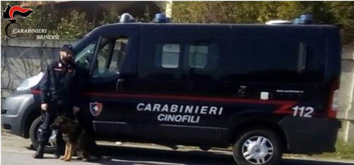 cinofili antidroga droga carabinieri