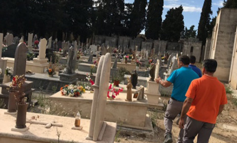 cimitero francavilla tombe profanate 5