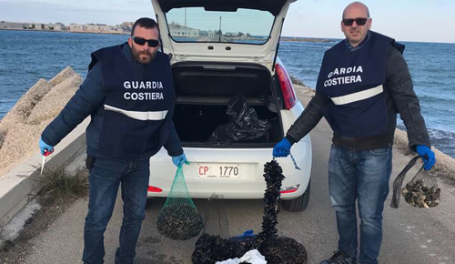 capitaneria di porto guardia costiera cozze ostriche tracciabilita sequestro