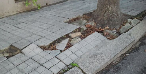 marciapiedi radici sconnessione alberi