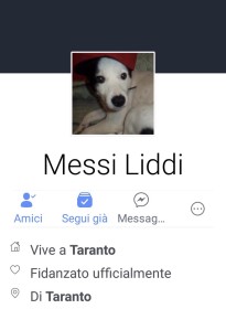 Il profilo facebook di Messi Liddi
